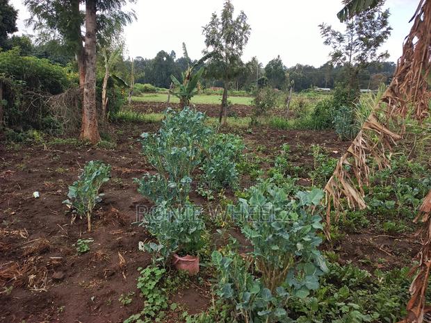 Plot on a Quick Sale - thumbnail 10