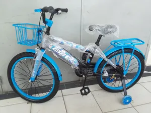 Size 20 Bike for Kids With Side Wheels