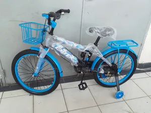 Best Price Kids Size 20 Bike With Training Wheels
