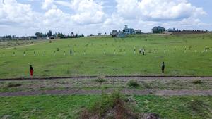 50*100 Kantafu /Malaa - thumbnail 2