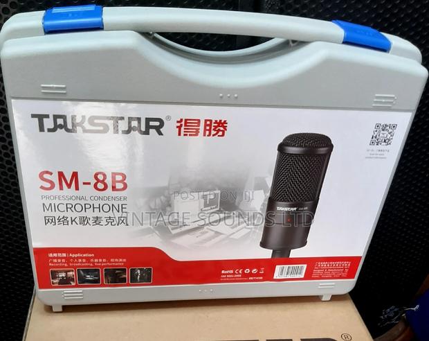 Takstar Studio Codenser Microphone - thumbnail 2