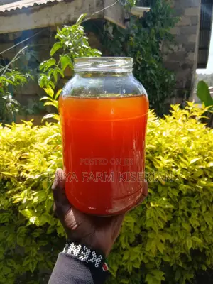 Fresh Kombucha Scoby