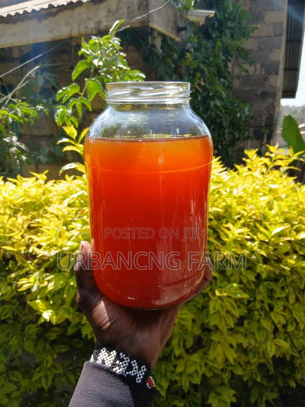 Fresh Kombucha Scoby - thumbnail 5