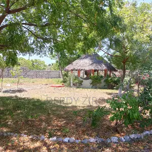 Plot and House for Sale