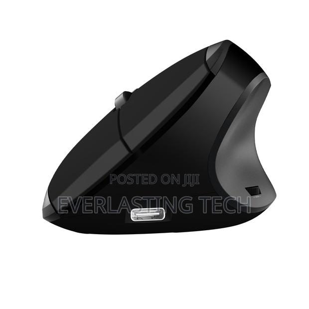 Meetion R390 Ergonomic Design 2.4ghz Wireless Gaming Mouse