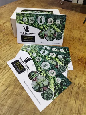 Custom Business Cards — Your Brand in Every Handshake