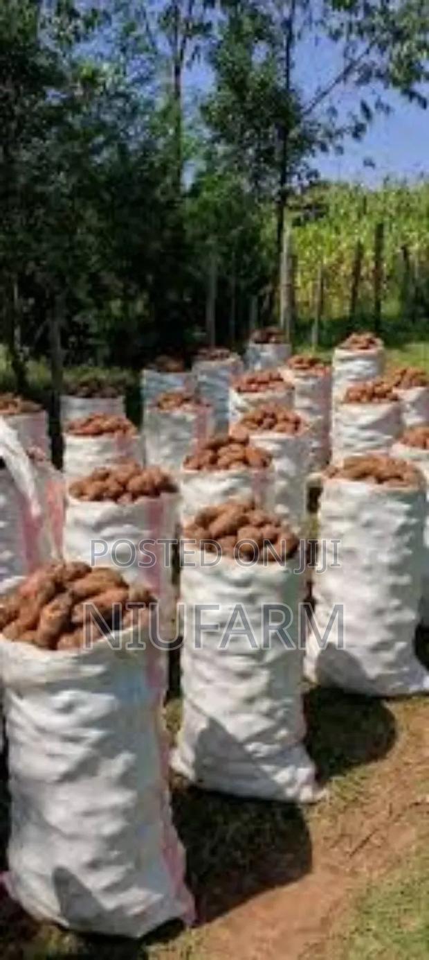 Anywhere Coast. Fresh Potatoes Delivery, Wholesale.