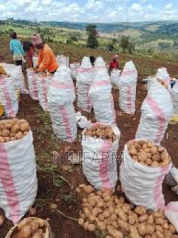 Fresh Potatoes Delivery to Your Business or Home