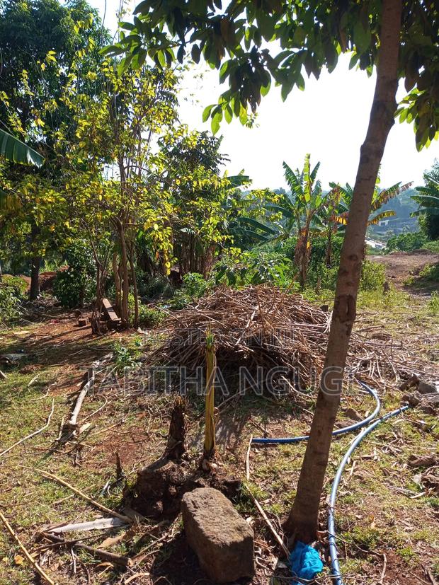 3.4 Acres Spring Valley.Jv or Buy - thumbnail 2