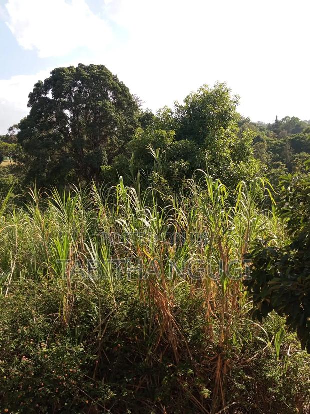 3.4 Acres Spring Valley.Jv or Buy - thumbnail 3