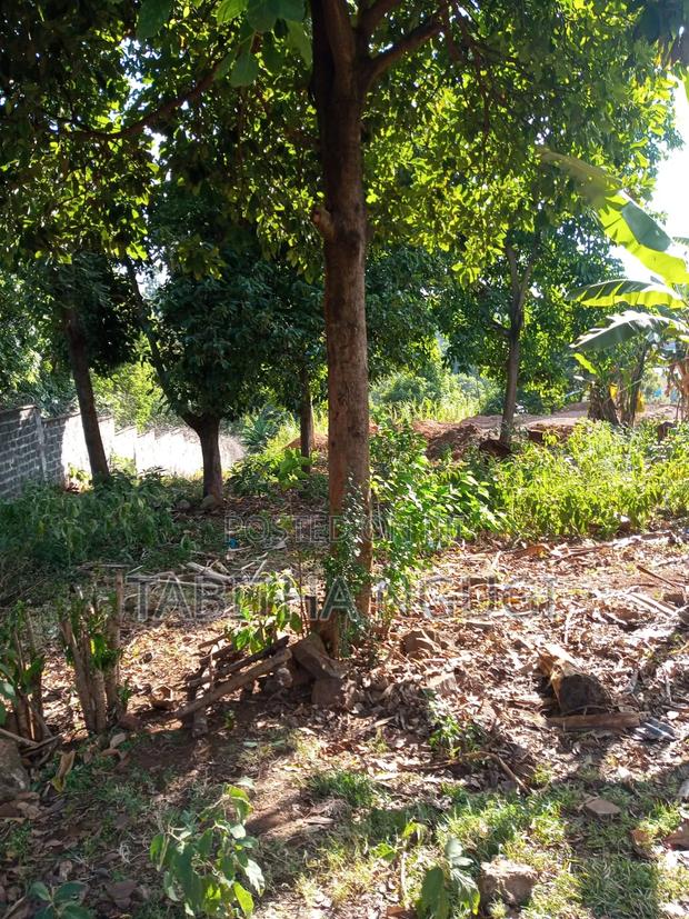 3.4 Acres Spring Valley.Jv or Buy - thumbnail 4