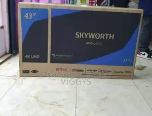 Cartoned Brand New Skyworth 43inch 