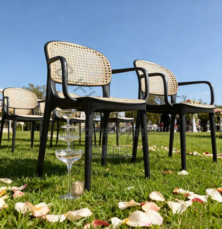 Home Chairs; Modern Eco-Friendly Rattan Home Chair