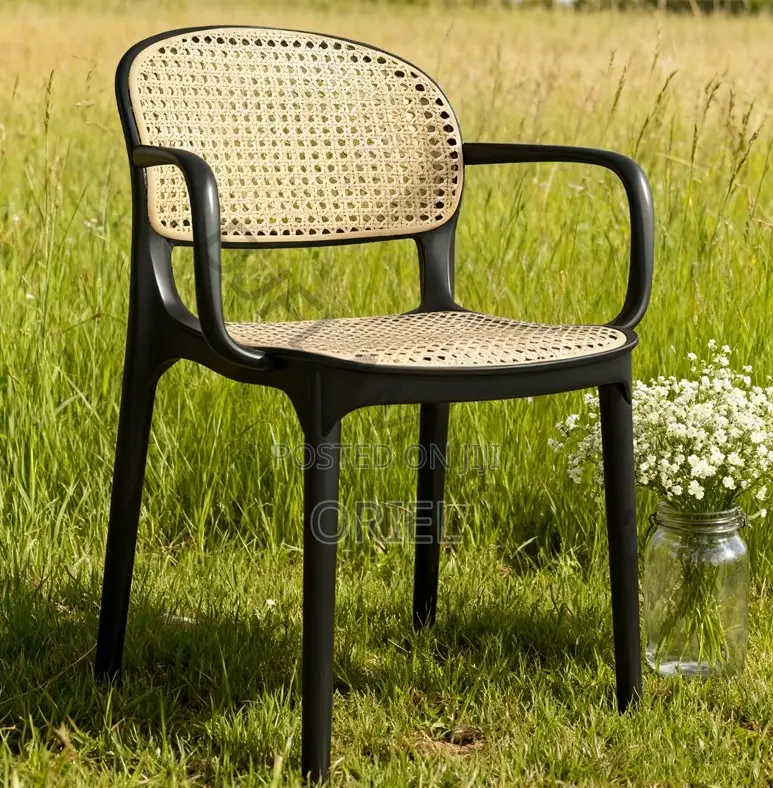 Home Chairs; Modern Eco-Friendly Rattan Home Chair