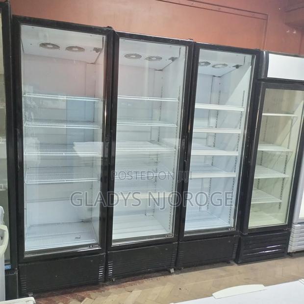 Ex Uk Fregolex Chiller (650l)