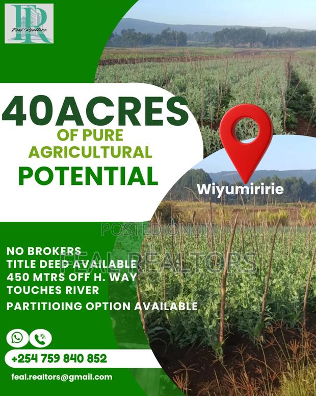 Agricultural Land on Sale - main view