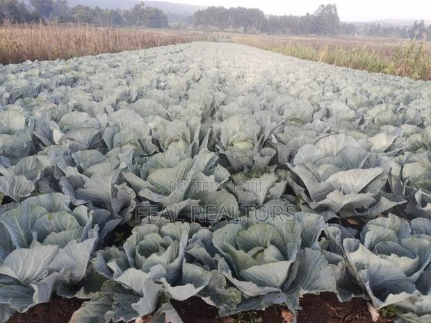 Agricultural Land on Sale - thumbnail 5