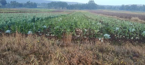 Agricultural Land on Sale - thumbnail 6