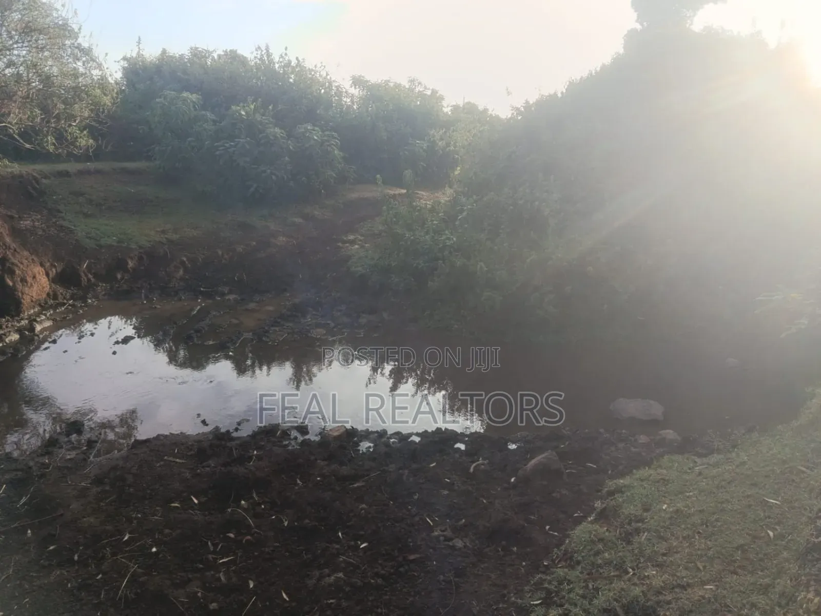 Agricultural Land on Sale
