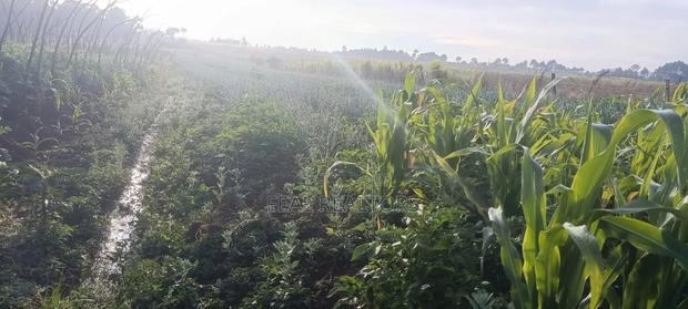 Agricultural Land on Sale - thumbnail 10