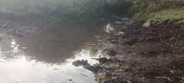 Agricultural Land on Sale - thumbnail 11