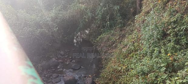 Agricultural Land on Sale - thumbnail 12