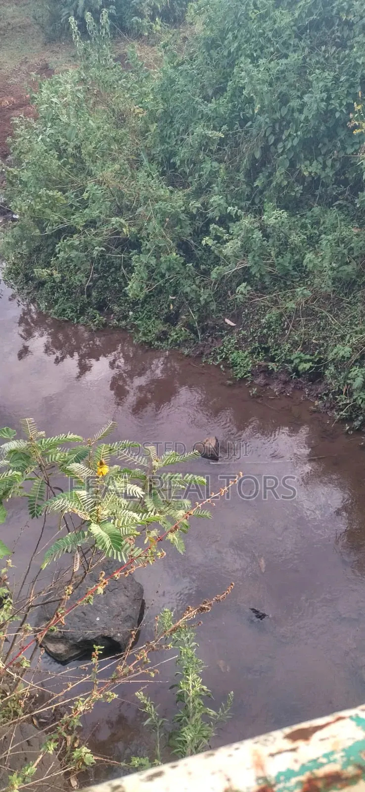 Agricultural Land on Sale