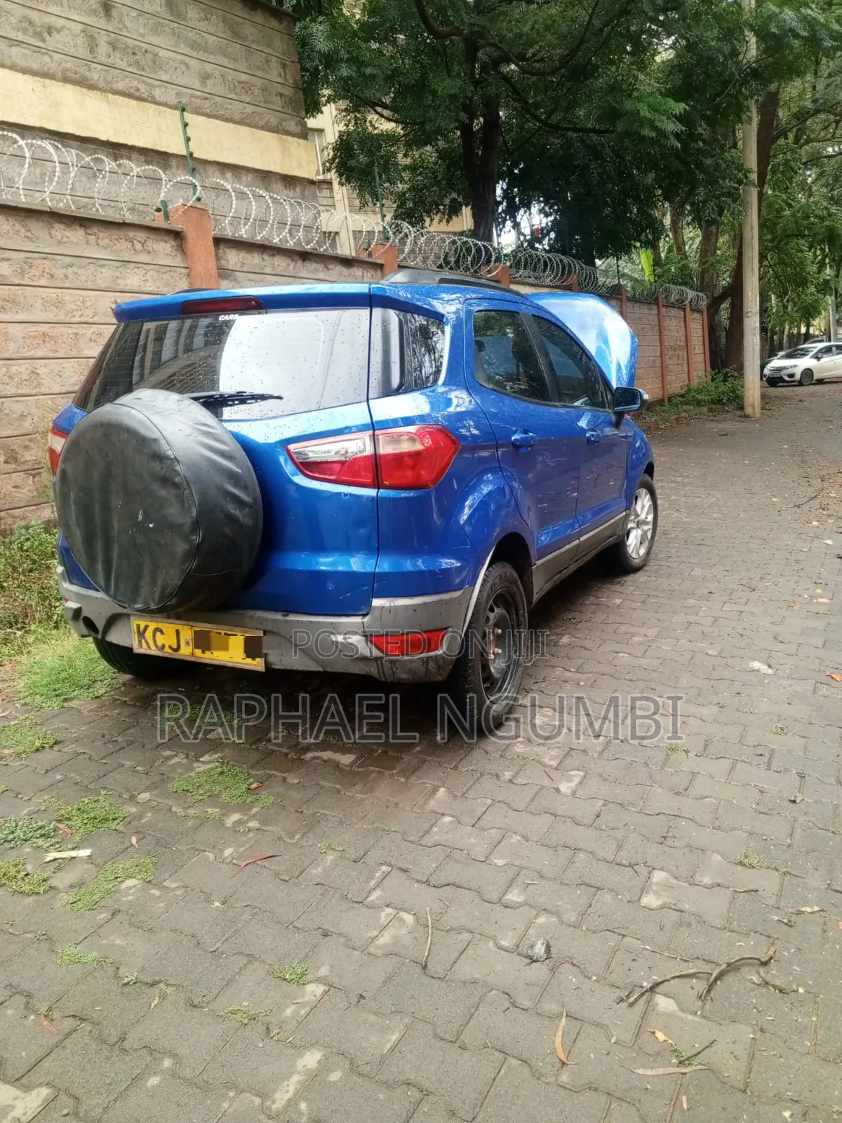 Ford Ecosport 2016 Blue
