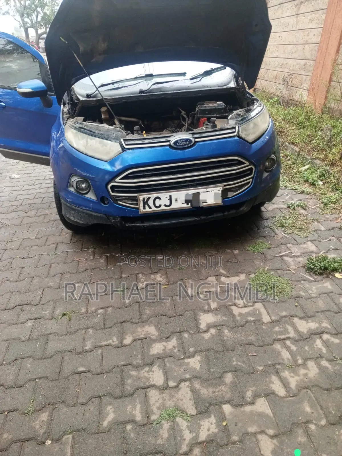 Ford Ecosport 2016 Blue