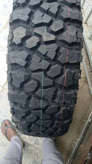 265/70r17 Comforser Tyre