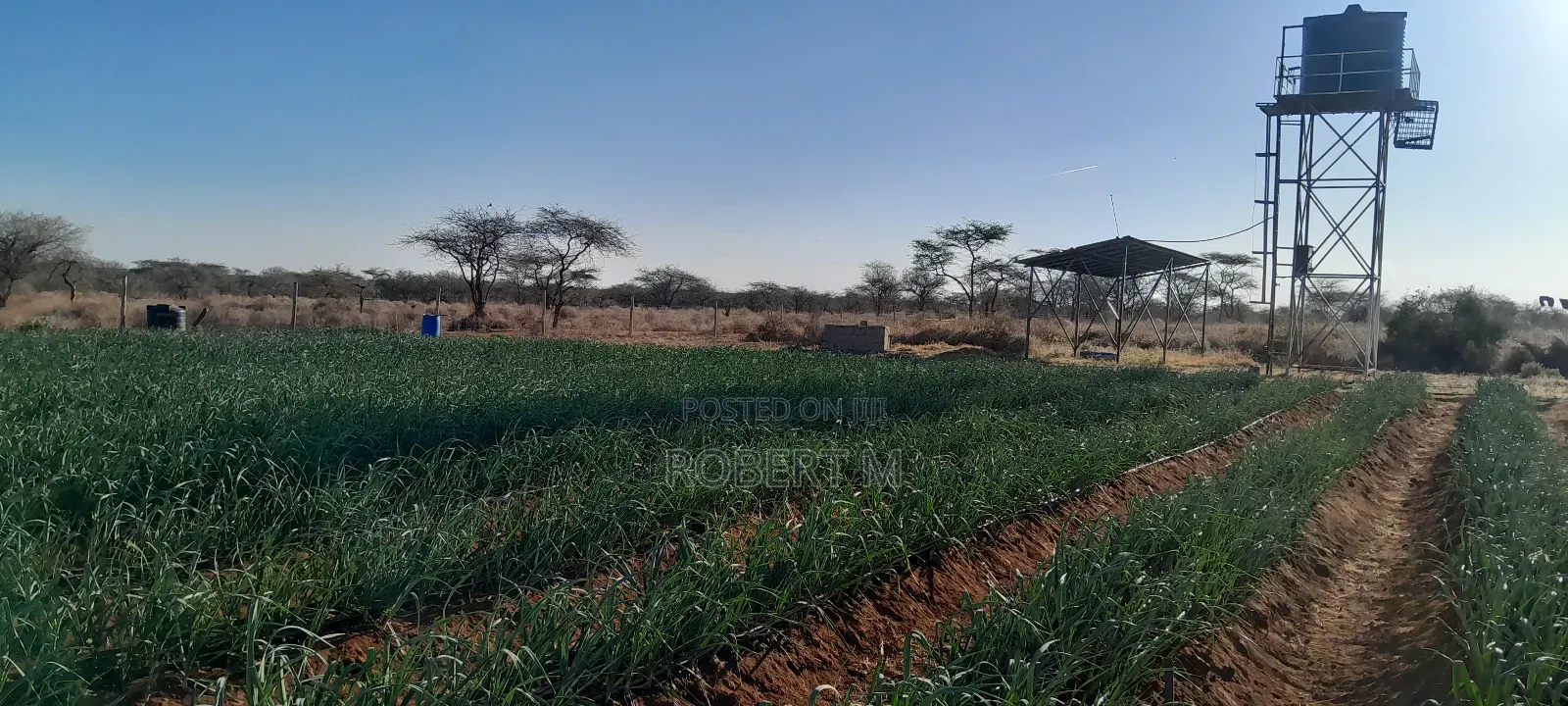 Private 10 Acre Farm With Borehole + Solar - Davis Shirtliff