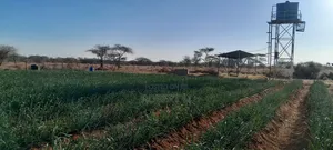 Private 10 Acre Farm With Borehole + Solar - Davis Shirtliff