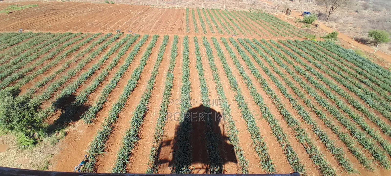 Private 10 Acre Farm With Borehole + Solar - Davis Shirtliff
