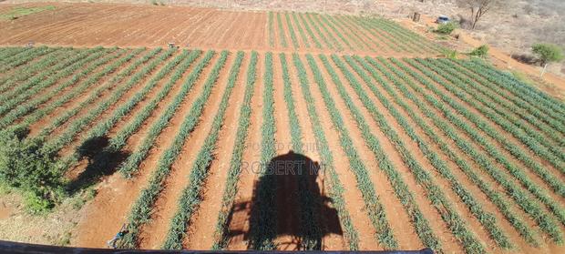 Private 10 Acre Farm With Borehole + Solar - Davis Shirtliff - thumbnail 3