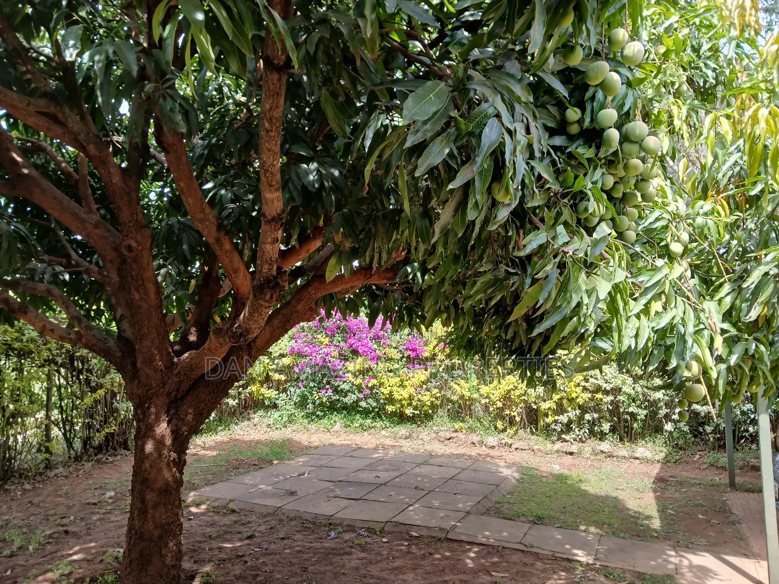 3bdrm Bungalow in Karen Plus Dsq, Hardy for rent