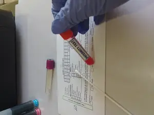 Dna Testing in Nairobi, Kenya