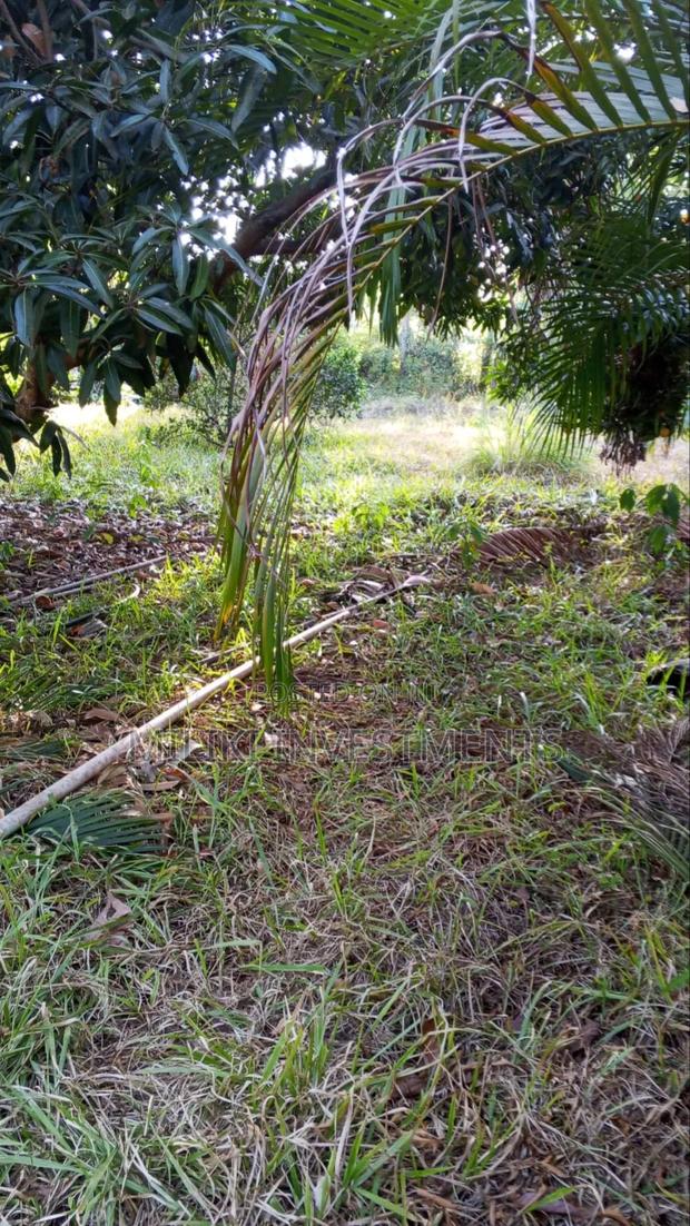 10 Acres on Sale Gatanga - thumbnail 5