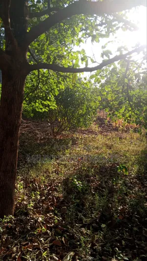 10 Acres on Sale Gatanga