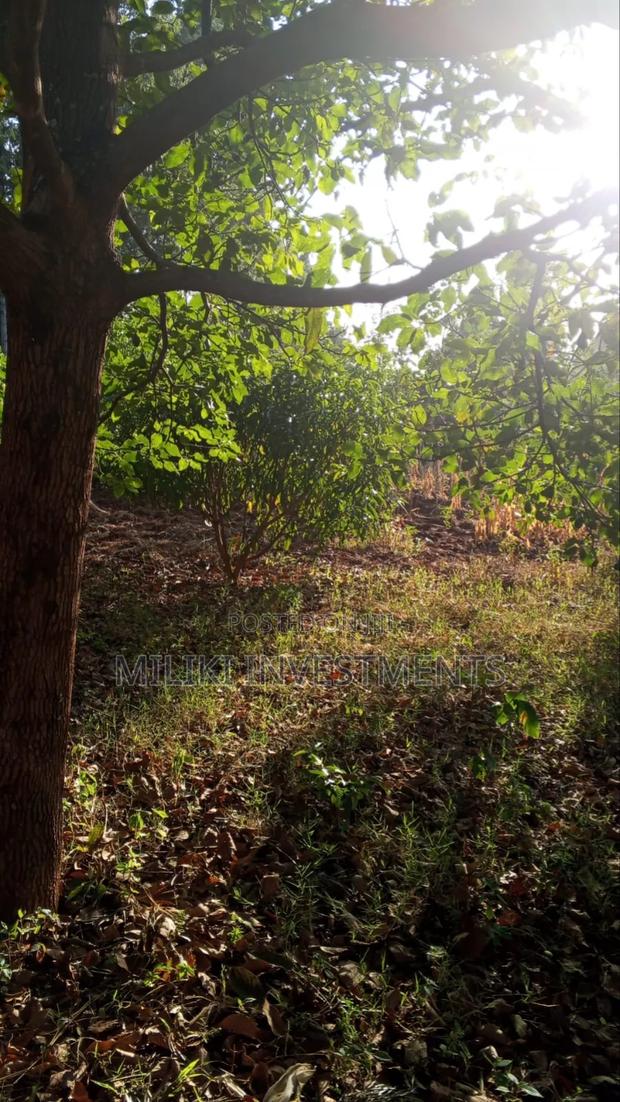 10 Acres on Sale Gatanga - thumbnail 6