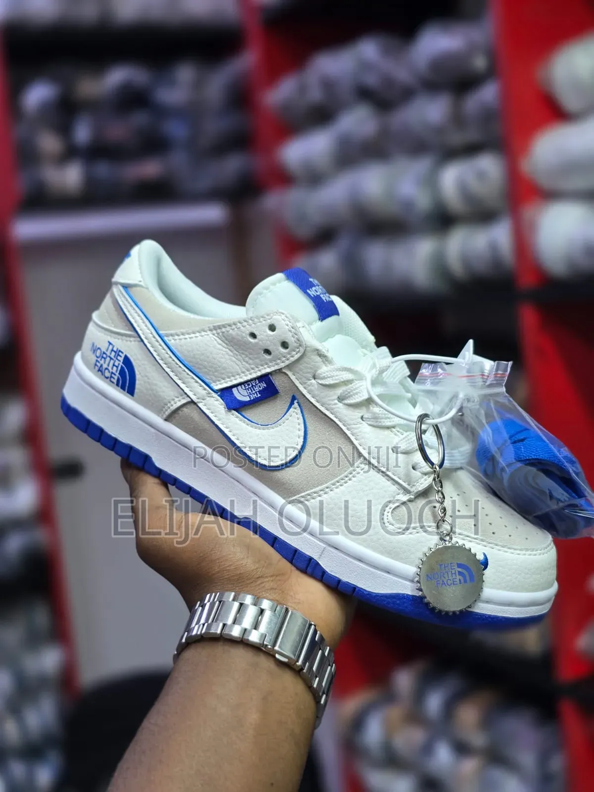 Nike Dunk Low X The North Face Shoes