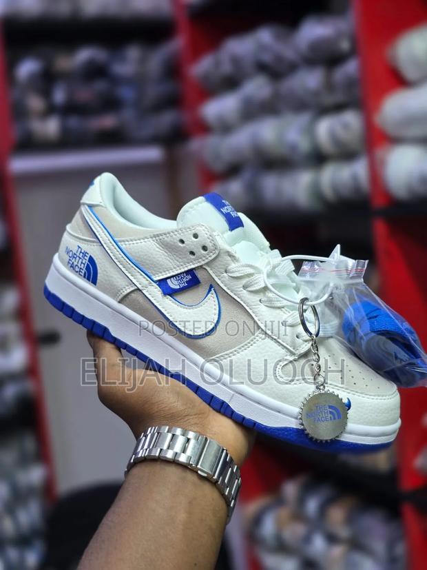 Nike Dunk Low X The North Face Shoes - main view