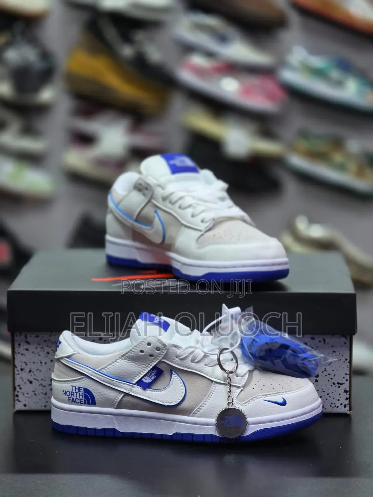 Nike Dunk Low X The North Face Shoes