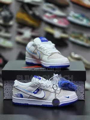 Nike Dunk Low X The North Face Shoes