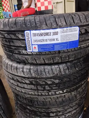 245/45rz18 Goddard