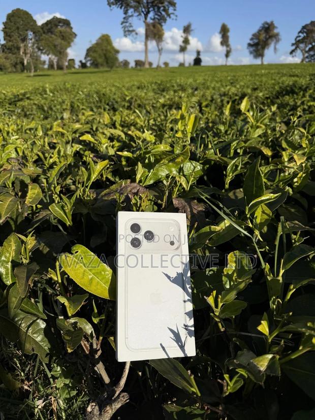 New Apple iPhone 17 Pro Max 256 GB Silver - thumbnail 10