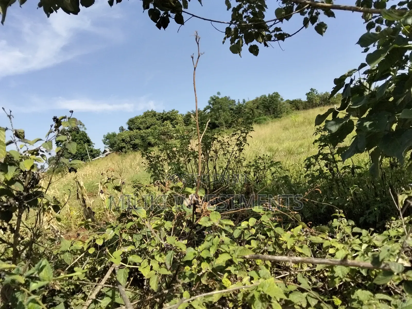 22 Acres on Sale at Maragua-Sammar