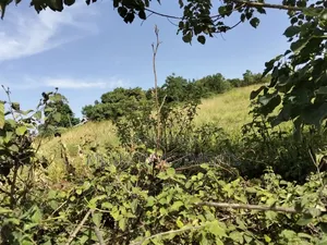 22 Acres on Sale at Maragua-Sammar