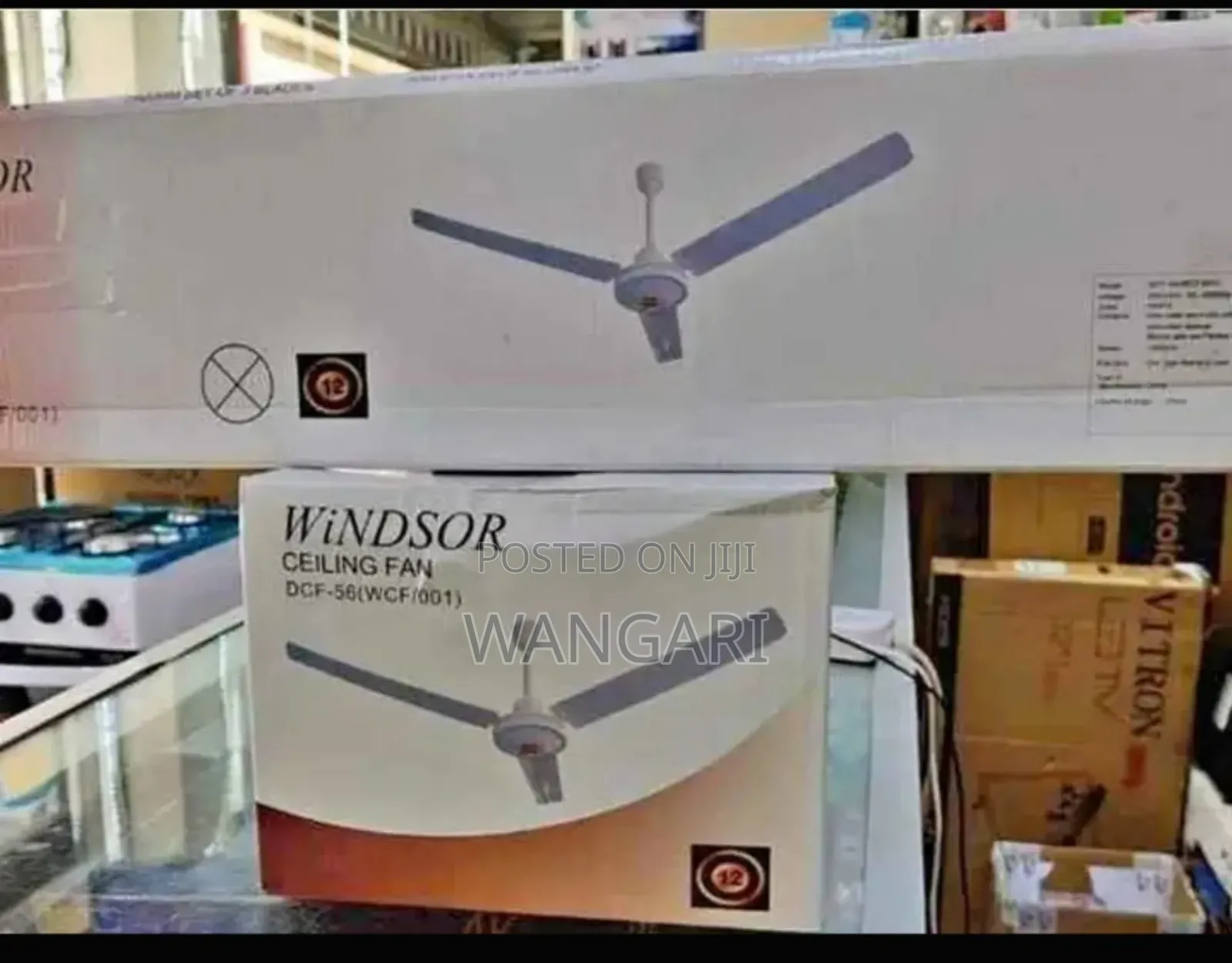 Windser Ceiling Fan
