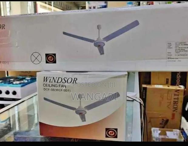 Windser Ceiling Fan - main view