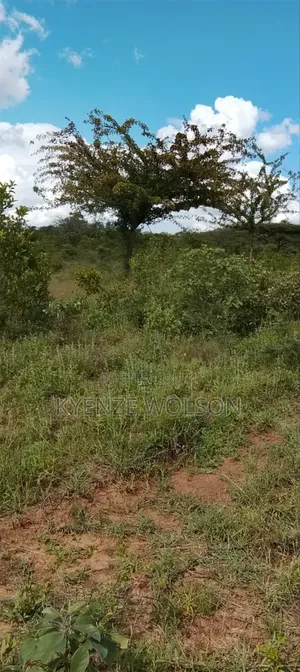 22 Acres Za Kulisha Kulima Kulisha Mbuzi,Ng'ombe